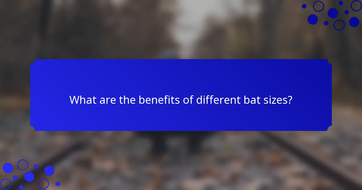 What are the benefits of different bat sizes?